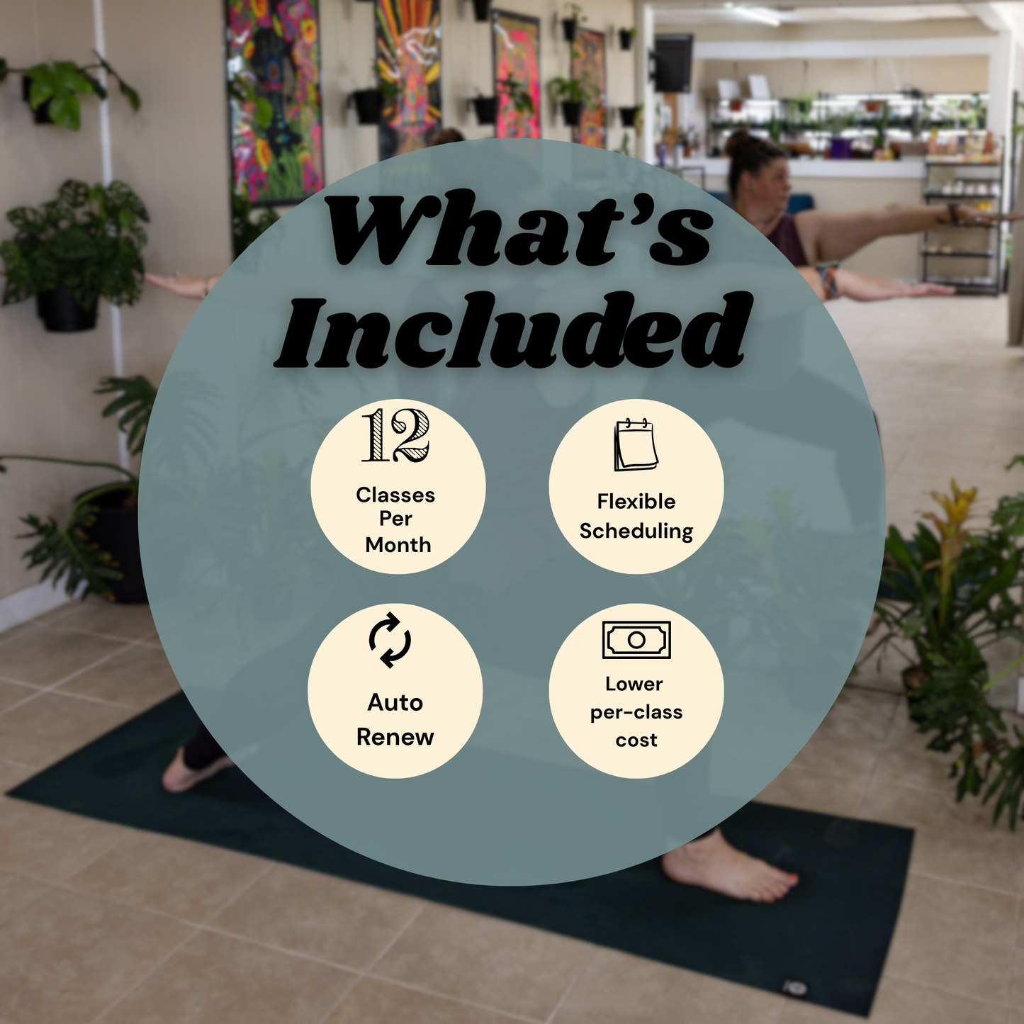 🌱 Founding Member – 12 Classes Per Month