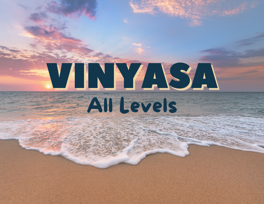 All-Level Vinyasa